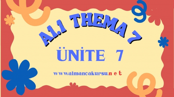 nite 7